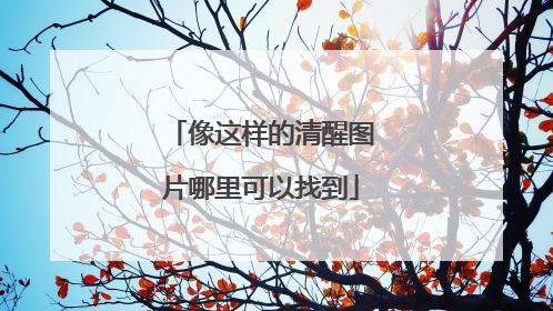 像这样的清醒图片哪里可以找到