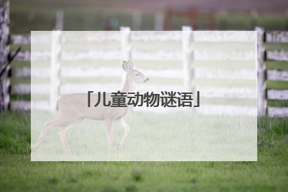 儿童动物谜语