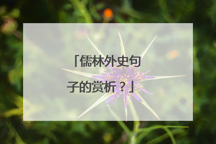 儒林外史句子的赏析？