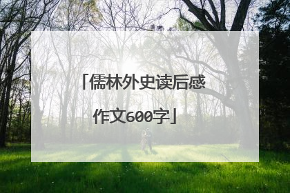 儒林外史读后感作文600字