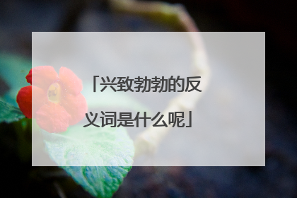 兴致勃勃的反义词是什么呢