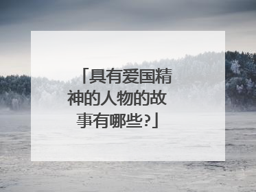 具有爱国精神的人物的故事有哪些?