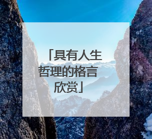 具有人生哲理的格言欣赏