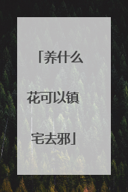 养什么花可以镇宅去邪