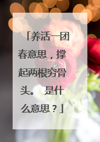 养活一团春意思，撑起两根穷骨头。 是什么意思？