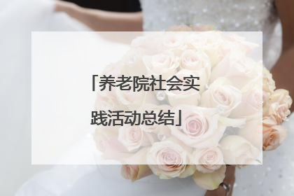 养老院社会实践活动总结