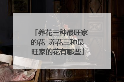 养花三种最旺家的花 养花三种最旺家的花有哪些