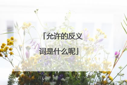 允许的反义词是什么呢