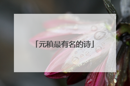 元稹最有名的诗