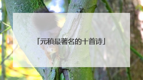 元稹最著名的十首诗