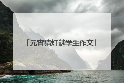 元宵猜灯谜学生作文