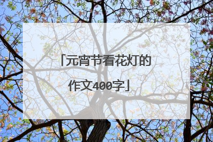 元宵节看花灯的作文400字