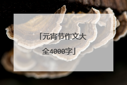 元宵节作文大全4000字