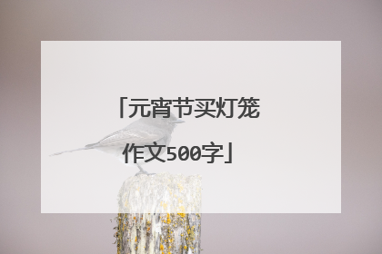 元宵节买灯笼作文500字