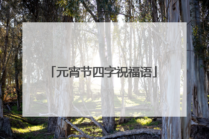 元宵节四字祝福语