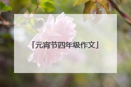 元宵节四年级作文