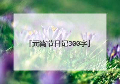 元宵节日记300字
