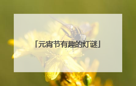 元宵节有趣的灯谜