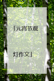 元宵节观灯作文