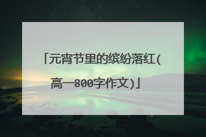 元宵节里的缤纷落红(高一800字作文)