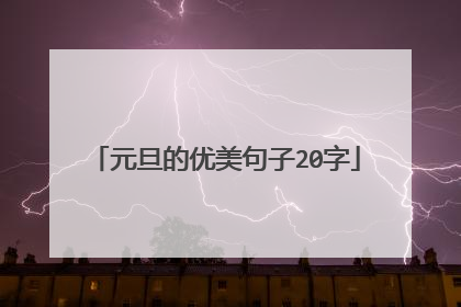 元旦的优美句子20字