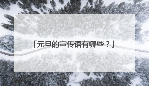 元旦的宣传语有哪些?