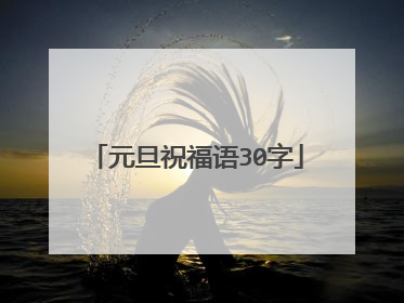 元旦祝福语30字