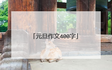 元旦作文400字