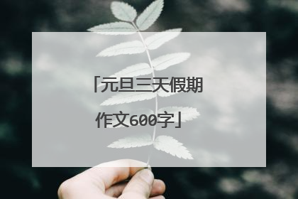 元旦三天假期作文600字