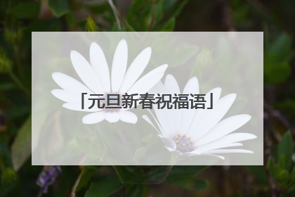 元旦新春祝福语