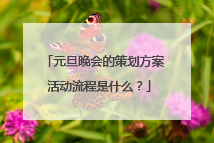 元旦晚会的策划方案活动流程是什么？