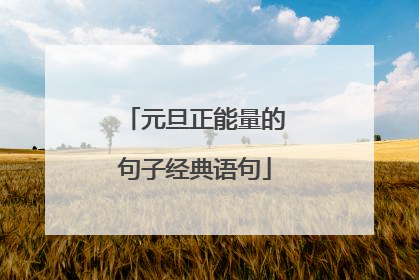 元旦正能量的句子经典语句