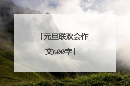 元旦联欢会作文600字