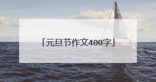元旦节作文400字