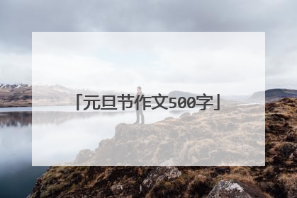 元旦节作文500字