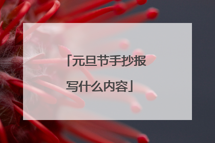 元旦节手抄报写什么内容