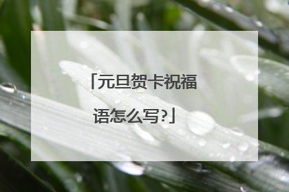 元旦贺卡祝福语怎么写?