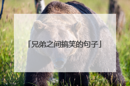 兄弟之间搞笑的句子