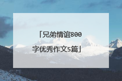 兄弟情谊800字优秀作文5篇
