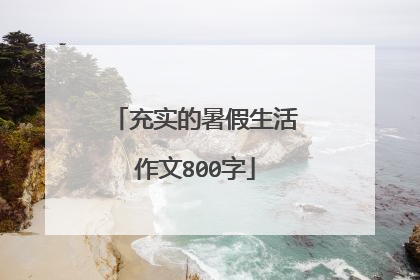 充实的暑假生活作文800字