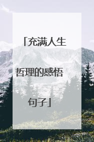 充满人生哲理的感悟句子