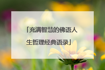 充满智慧的佛语人生哲理经典语录