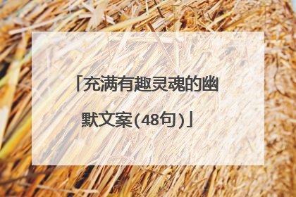 充满有趣灵魂的幽默文案(48句)