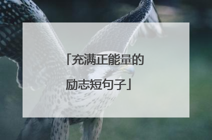 充满正能量的励志短句子