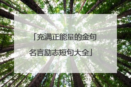 充满正能量的金句名言励志短句大全