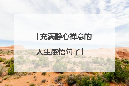 充满静心禅意的人生感悟句子