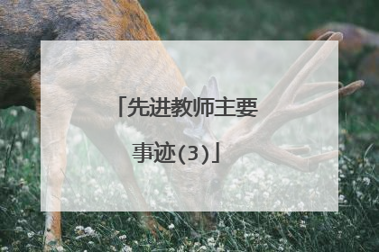 先进教师主要事迹(3)