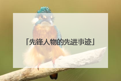 先锋人物的先进事迹