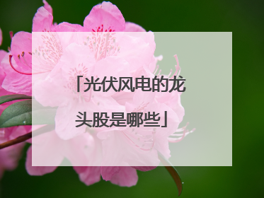 光伏风电的龙头股是哪些