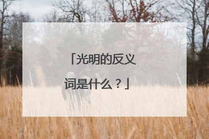 光明的反义词是什么？